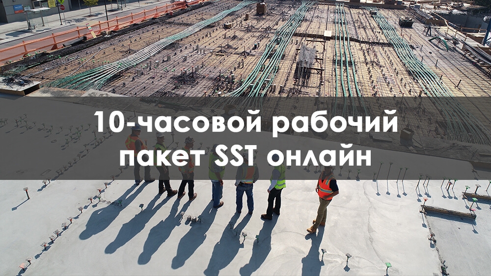 10 Часовой sst dob Онлайн Тренинговый Пакет Для Работников