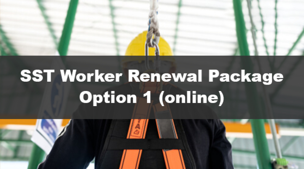 SST Worker Renewal Package - option 1