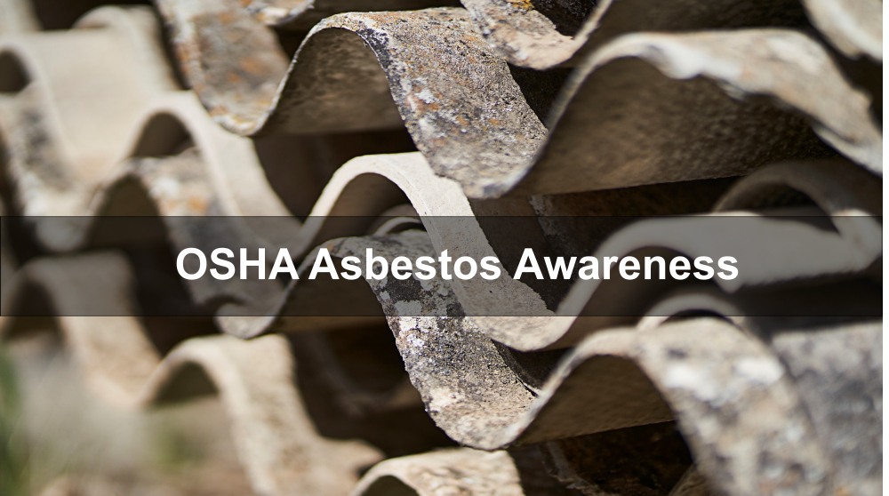 Training on Asbestos Hazards and Safety Measures