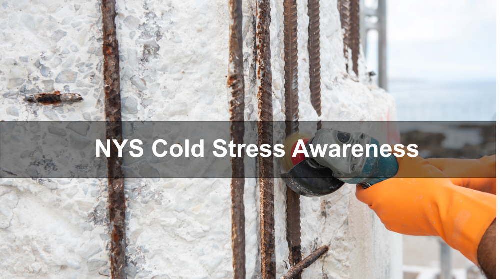 NYS Cold Stress Awareness For Employees