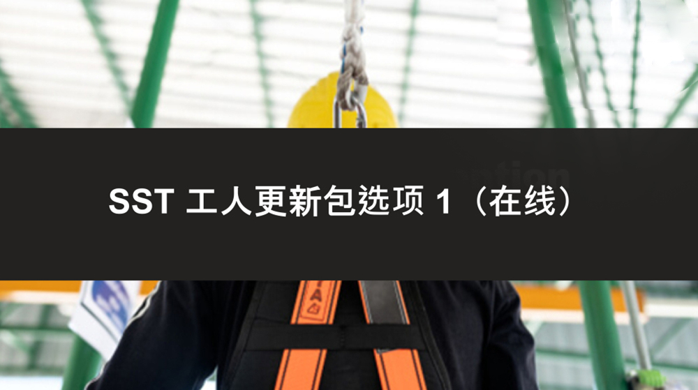 SST 工人更新套餐选项 1