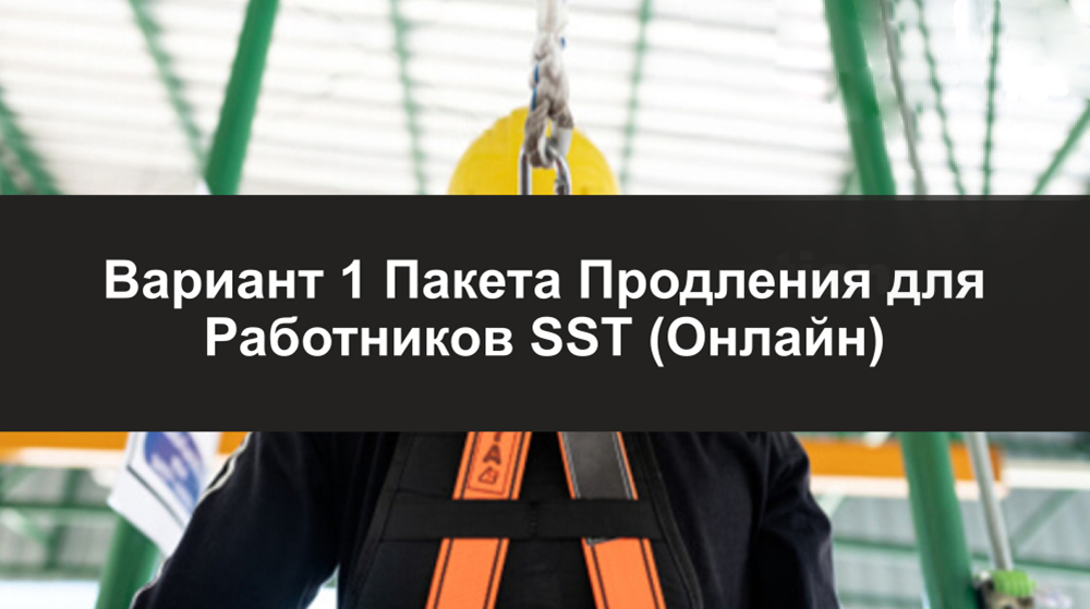 Пакет Продления для Работников SST — Вариант 1